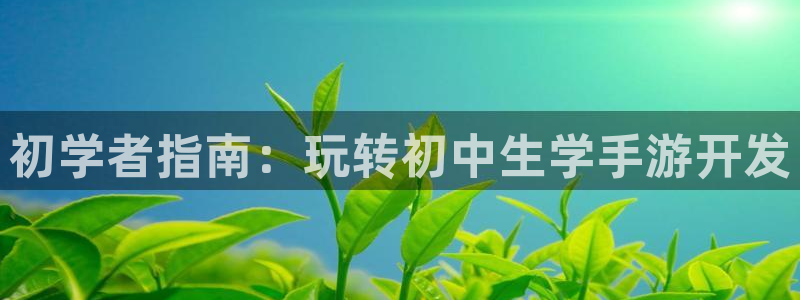 庄闲是什么赌法：初学者指南：玩转初中生学手游开发