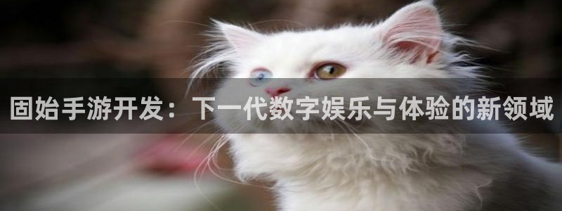 庄闲和游戏叫什么：固始手游开发：下一代数字娱乐与体验的新领域