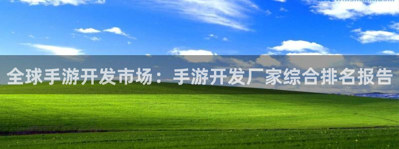 庄闲的游戏叫什么：全球手游开发市场：手游开发厂家综合排名报告