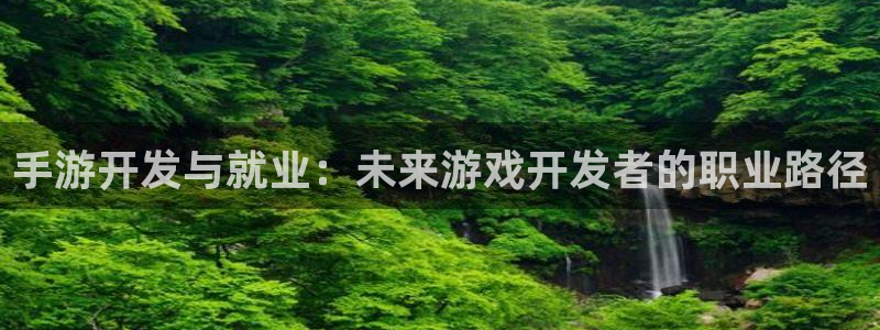 庄闲和规则规则：手游开发与就业：未来游戏开发者的职业路径