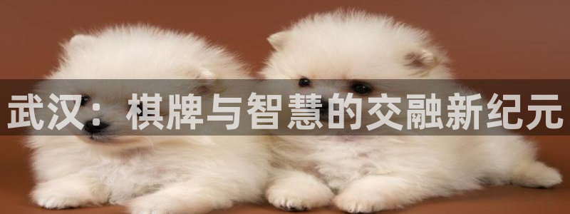 扑克牌庄闲的玩法种类：武汉：棋牌与智慧的交融新纪元