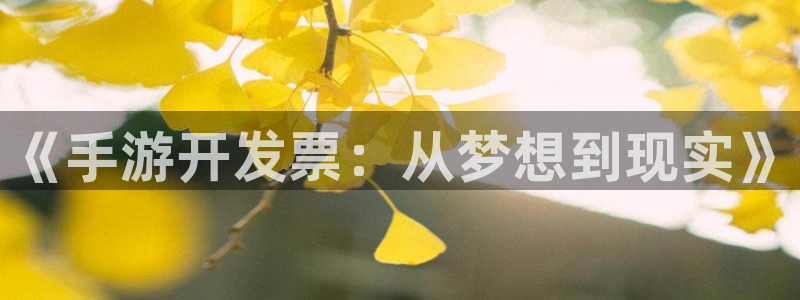 庄闲的游戏创始人是谁：《手游开发票：从梦想到现实》