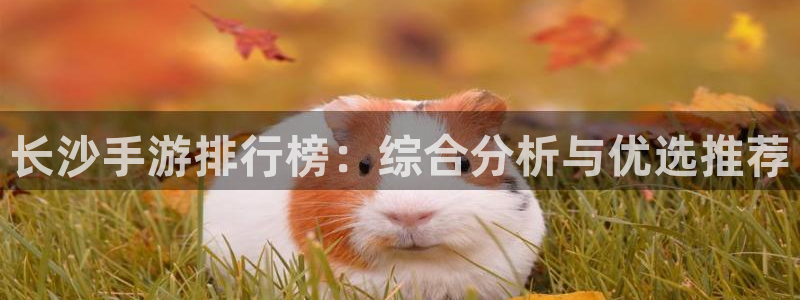 庄闲游戏名称：长沙手游排行榜：综合分析与优选推荐
