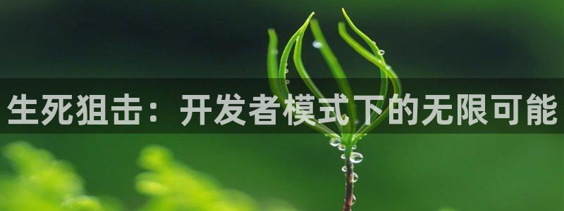 庄闲游戏能赢钱吗：生死狙击：开发者模式下的无限可能