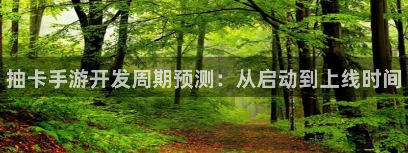 庄闲游戏版本：抽卡手游开发周期预测：从启动到上线时间