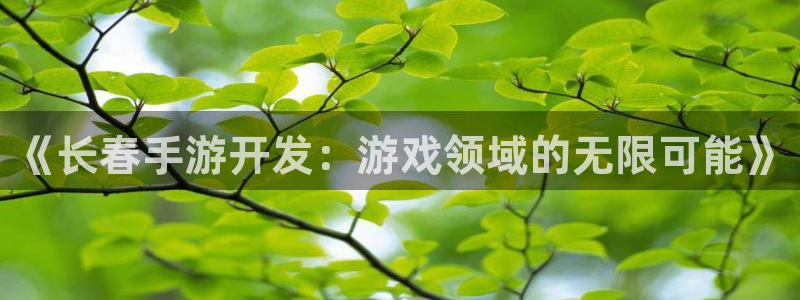 庄闲的游戏创始人是谁：《长春手游开发：游戏领域的无限可能》