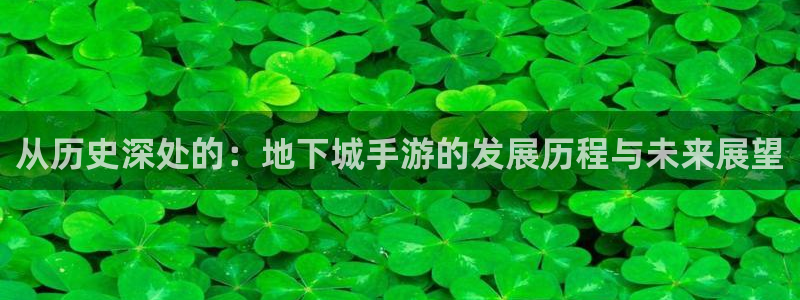 庄闲规则怎么玩：从历史深处的：地下城手游的发展历程与未来展望