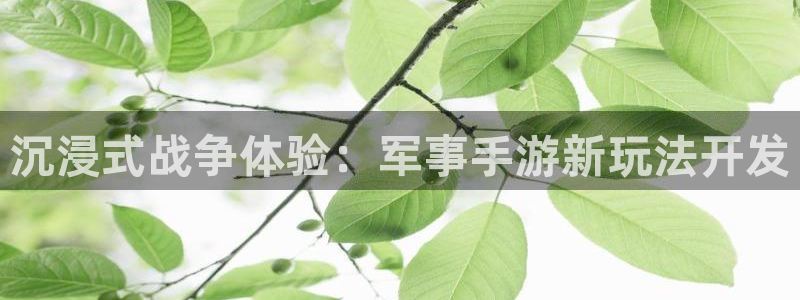 庄闲和游戏的具体规则是什么?：沉浸式战争体验：军事手游新玩法