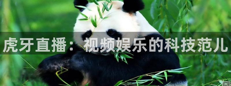 球友直播在线直播：虎牙直播：视频娱乐的科技范儿