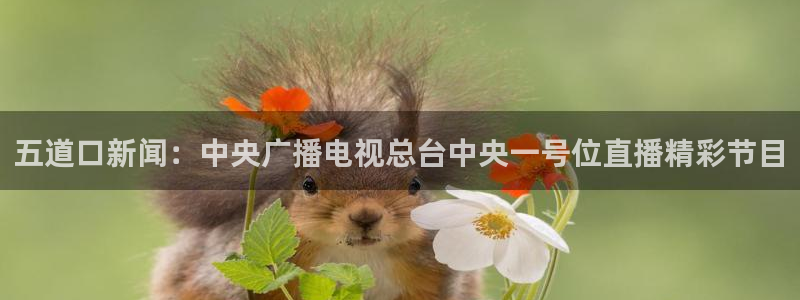 球友直播在线直播：五道口新闻：中央广播电视总台中央一号位直播精彩节目