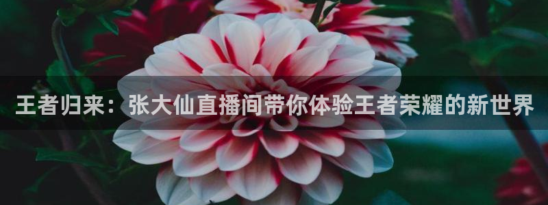 qy球友会体育网址：王者归来：张大仙直播间带你体验王者荣耀的新世界