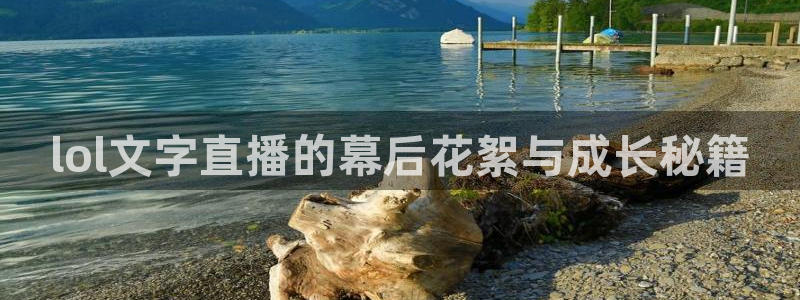 球友直播nba：lol文字直播的幕后花絮与成长秘籍