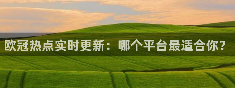 qy球友会体育网址：欧冠热点实时更新：哪个平台最适合你？